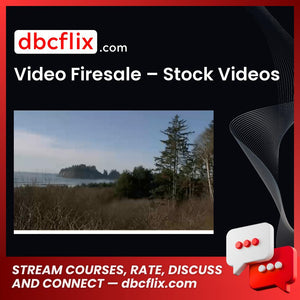 Video Firesale – Stock Videos free downoad, dbcflix, dbcflix.com, storedbc.com, downloadbusinesscourse, mega, google drive