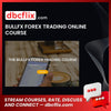 BULLFx FOREX TRADING ONLINE COURSE, download, downloadbusinesscourse, free, google drive, mega, rapidgator