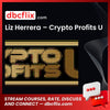 Liz Herrera Crypto Profits U FREE DOWNLOAD
