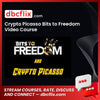 Crypto Picasso Bits To Freedom Video Course FREE DOWNLOAD