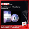 #david #snyder #vibrational #influence download #free #mega #googledrivedavid, free, google drive, influence download, mega, Snyder, Vibrational
