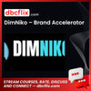 DimNiko – Brand Accelerator free downoad, dbcflix, dbcflix.com, storedbc.com, downloadbusinesscourse, mega, google drive