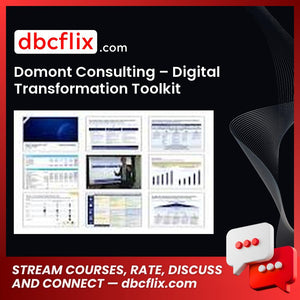 Domont Consulting – Digital Transformation Toolkit free downoad, dbcflix, dbcflix.com, storedbc.com, downloadbusinesscourse, mega, google drive