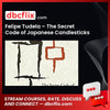 Felipe Tudela The Secret Code Of Japanese Candlesticks FREE DOWNLOAD
