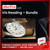 download, downloadbusinesscourse, drive, fast, free, google, Iris Reading – Bundle, mega, rapidgator, torrent