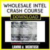 Lammi Mcintosh Wholesale Intel Crash Course FREE DOWNLOAD