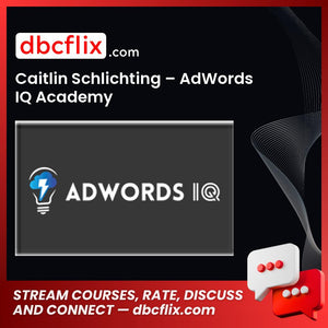 Caitlin Schlichting Adwords Iq Academy FREE DOWNLOAD