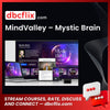 MindValley – Mystic Brain free downoad, dbcflix, dbcflix.com, storedbc.com, downloadbusinesscourse, mega, google drive