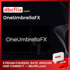 download, downloadbusinesscourse, free, google drive, mega, OneUmbrellaFX, rapidgator