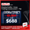 Piranha Profits – Forex Trading Course Level 1 – Pip Fisher free downoad, dbcflix, dbcflix.com, storedbc.com, downloadbusinesscourse, mega, google drive