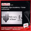 download, downloadbusinesscourse, free, google drive, mega, Prophetic Pips Academy – Forex Advanced, rapidgator
