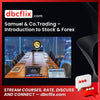 Samuel & Co.Trading – Introduction to Stock & Forex free downoad, dbcflix, dbcflix.com, storedbc.com, downloadbusinesscourse, mega, google drive