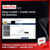 Beau Crabill Credit Cards For Business FREE DOWNLOAD