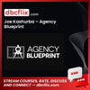 Joe Kashurba Agency Blueprint