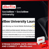 download, downloadbusinesscourse, free, google drive, mega, rapidgator, SocialBee SocialBee University