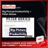 Big Picture Productivity – Peter Akkies free downoad, dbcflix, dbcflix.com, storedbc.com, downloadbusinesscourse, mega, google drive