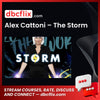 Alex Cattoni – The Storm free downoad, dbcflix, dbcflix.com, storedbc.com, downloadbusinesscourse, mega, google drive