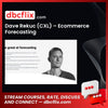 Dave Rekuc (CXL) – Ecommerce Forecasting free downoad, dbcflix, dbcflix.com, storedbc.com, downloadbusinesscourse, mega, google drive