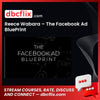 download, downloadbusinesscourse, free, google drive, mega, rapidgator, Reece Wabara – The Facebook Ad BluePrint