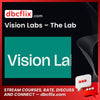 Vision Labs – The Lab free downoad, dbcflix, dbcflix.com, storedbc.com, downloadbusinesscourse, mega, google drive