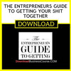 The Entrepreneurs Guide To Getting Your Shit Together FREE DOWNLOAD