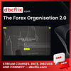 download, downloadbusinesscourse, drive, fast, free, google, mega, rapidgator, The Forex Organisation 2.0, torrent