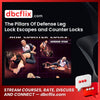 The Pillars Of Defense Leg Lock Escapes and Counter Locks by Gordon Ryan free downoad, dbcflix, dbcflix.com, storedbc.com, downloadbusinesscourse, mega, google drive