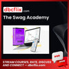 download, downloadbusinesscourse, drive, fast, free, google, mega, rapidgator, The Swag Academy, torrent