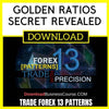 Trade Forex 13 Patterns Golden Ratios Secret Revealed FREE DOWNLOAD