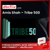 Amis Shah Tribe 500 FREE DOWNLOAD