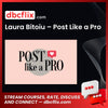 download, downloadbusinesscourse, drive, fast, free, google, Laura Bitoiu – Post Like a Pro, mega, rapidgator, torrent
