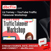download, downloadbusinesscourse, drive, fast, free, google, Liz Tomey – YouTube Traffic Takeover Workshop, mega, rapidgator, torrent