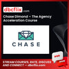 Chase Dimond – The Agency Acceleration Course free downoad, dbcflix, dbcflix.com, storedbc.com, downloadbusinesscourse, mega, google drive