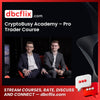 CryptoBusy Academy – Pro Trader Course, download, downloadbusinesscourse, drive, fast, free, google, mega, rapidgator, torrent