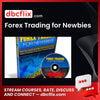 Forex Trading for Newbies free downoad, dbcflix, dbcflix.com, storedbc.com, downloadbusinesscourse, mega, google drive