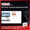 WP Woo Themes extension club free downoad, dbcflix, dbcflix.com, storedbc.com, downloadbusinesscourse, mega, google drive