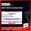 30K WSO Avalanche free downoad, dbcflix, dbcflix.com, storedbc.com, downloadbusinesscourse, mega, google drive