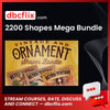 2200 Shapes Mega Bundle free downoad, dbcflix, dbcflix.com, storedbc.com, downloadbusinesscourse, mega, google drive