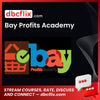 Bay Profits Academy free downoad, dbcflix, dbcflix.com, storedbc.com, downloadbusinesscourse, mega, google drive
