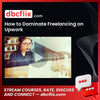 How to Dominate Freelancing on Upwork free downoad, dbcflix, dbcflix.com, storedbc.com, downloadbusinesscourse, mega, google drive