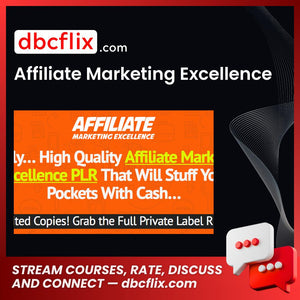 Affiliate Marketing Excellence free downoad, dbcflix, dbcflix.com, storedbc.com, downloadbusinesscourse, mega, google drive