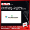 Sharad Thaper The Endless Summer Google Shopping Course FREE DOWNLOAD