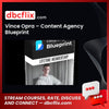 download, downloadbusinesscourse, drive, fast, free, google, mega, rapidgator, torrent, Vince Opra – Content Agency Blueprint