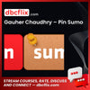 Gauher Chaudhry – Pin Sumo free downoad, dbcflix, dbcflix.com, storedbc.com, downloadbusinesscourse, mega, google drive