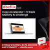 Copy Accelerator – 5 Week Mastery AI Challenge free downoad, dbcflix, dbcflix.com, storedbc.com, downloadbusinesscourse, mega, google drive