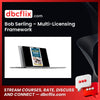 Bob Serling – Multi-Licensing Framework free downoad, dbcflix, dbcflix.com, storedbc.com, downloadbusinesscourse, mega, google drive