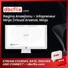 Regina Anaejionu Infopreneur Ninja Visual Arsenal Ninja Sales School FREE DOWNLOAD