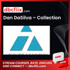 Dan DaSilva – Collection free downoad, dbcflix, dbcflix.com, storedbc.com, downloadbusinesscourse, mega, google drive
