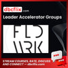 download, downloadbusinesscourse, drive, fast, free, google, Leader Accelerator Groups, mega, rapidgator, torrent